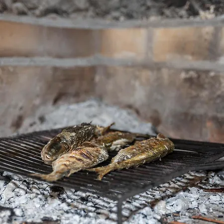 Mediterranean Terrace With Bikes & Sup Apartment Skradin