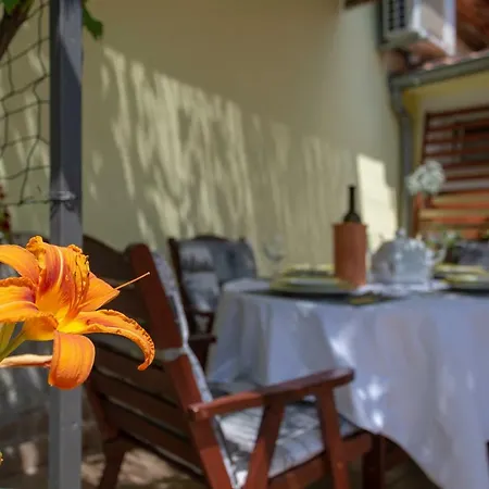 Mediterranean Terrace With Bikes & Sup *